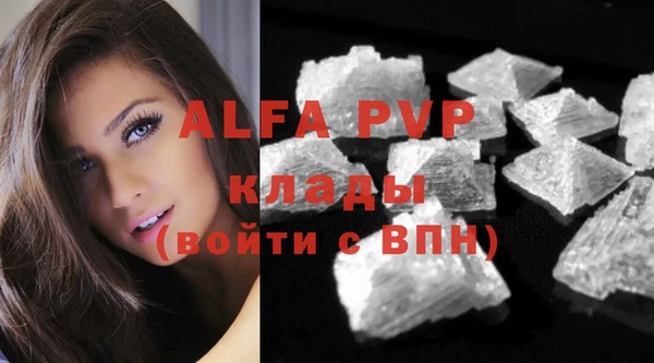 ECSTASY Покров