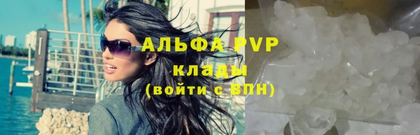 ECSTASY Покров