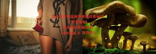 mdpv Покачи