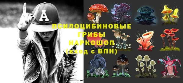 ECSTASY Покров