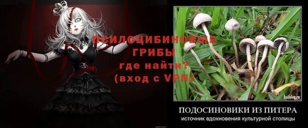 шишки Покровск