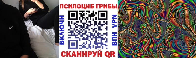 Галлюциногенные грибы мицелий  omg маркетплейс  Вольск  купить наркоту 