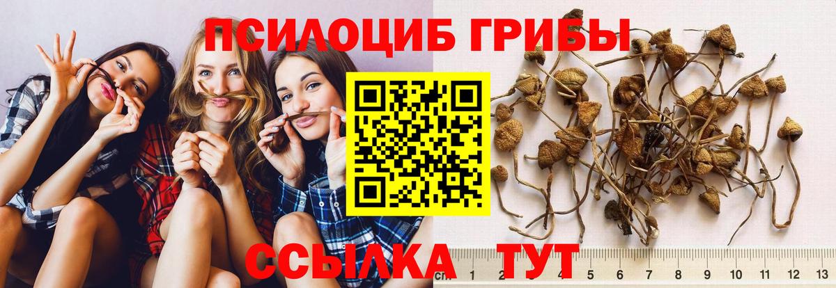 Галлюциногенные грибы Magic Shrooms  Вольск 